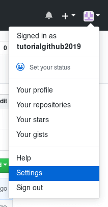 Configurações GitHub Screenshot Configurações GitHub