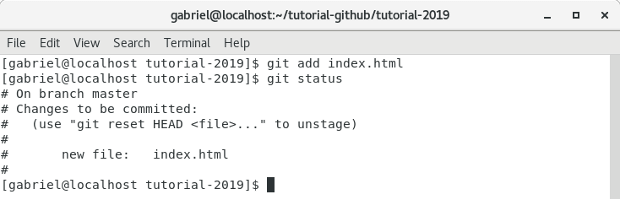 Comando git add + status Terminal comando git add + status