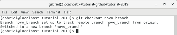 Terminal git checkout Terminal git checkout