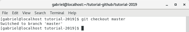 Terminal git checkout master Terminal git checkout master