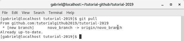 Terminal git pull Terminal git pull