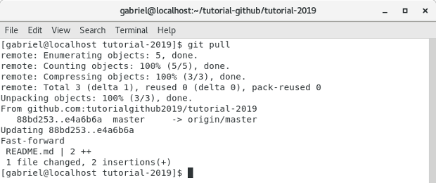 Terminal comando git pull Terminal comando git pull