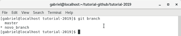 Terminal git brach - lista de branchs Terminal git brach - lista de branchs